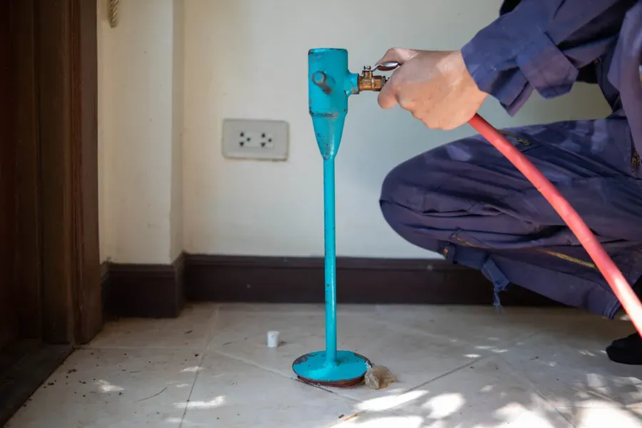 Common Entry Points For Termites In Residential Homes Davenport, IA Common Entry Points For Termites In Residential Homes Davenport, IA