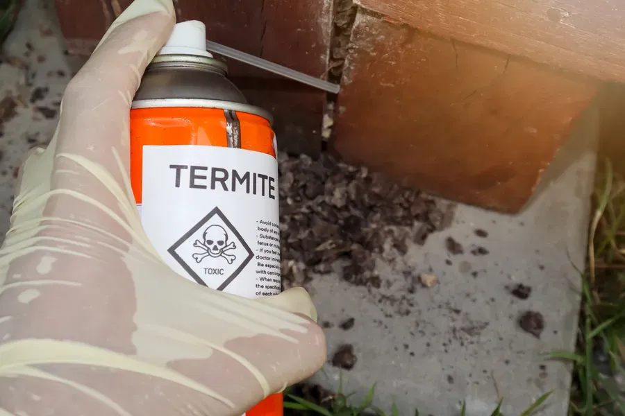 Importance Of Regular Termite Inspections For Homeowners Davenport, IA Importance Of Regular Termite Inspections For Homeowners Davenport, IA