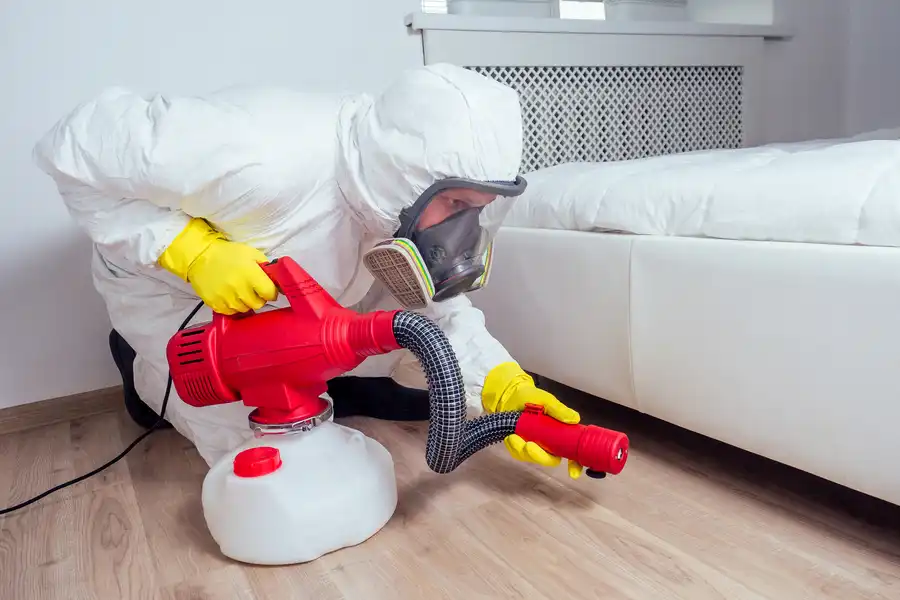 Professional Pest Extermination in Davenport, IA Professional Pest Extermination in Davenport, IA