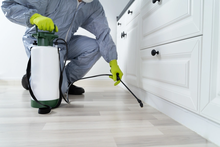 Preparing Your Home For A Pest Control Treatment in Davenport, IA Preparing Your Home For A Pest Control Treatment in Davenport, IA