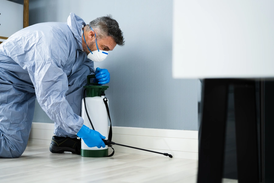 Professional Pest Inspection Davenport, IA Professional Pest Inspection Davenport, IA